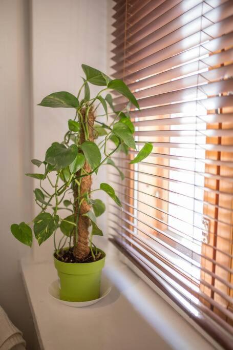 A Lovely Apartment Near Railway Station And Arena. 坦佩雷 外观 照片